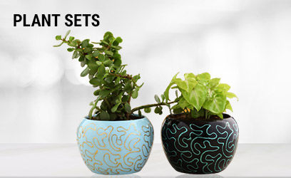 Plant Sets