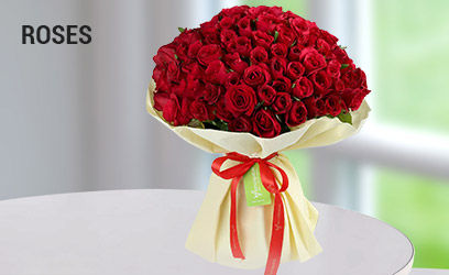 roses flowers