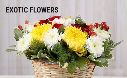 Exotic Floers