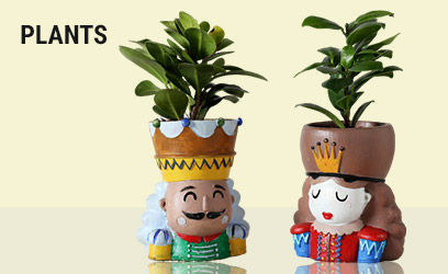 Plants