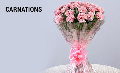 Carnations