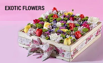Exotic Flowers