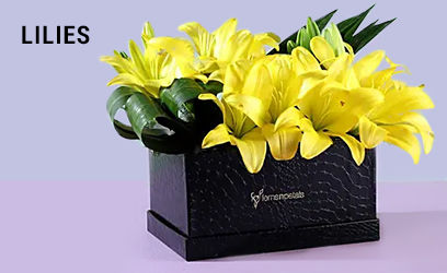 Lilies