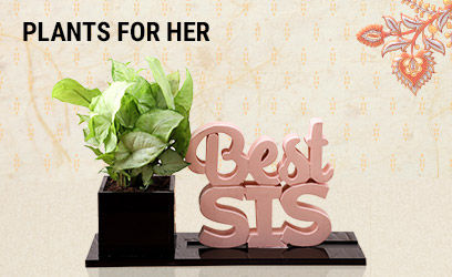 Plants