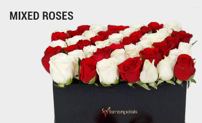 Mixed Roses