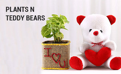 Plants-N-Teddy-Bears.jpg