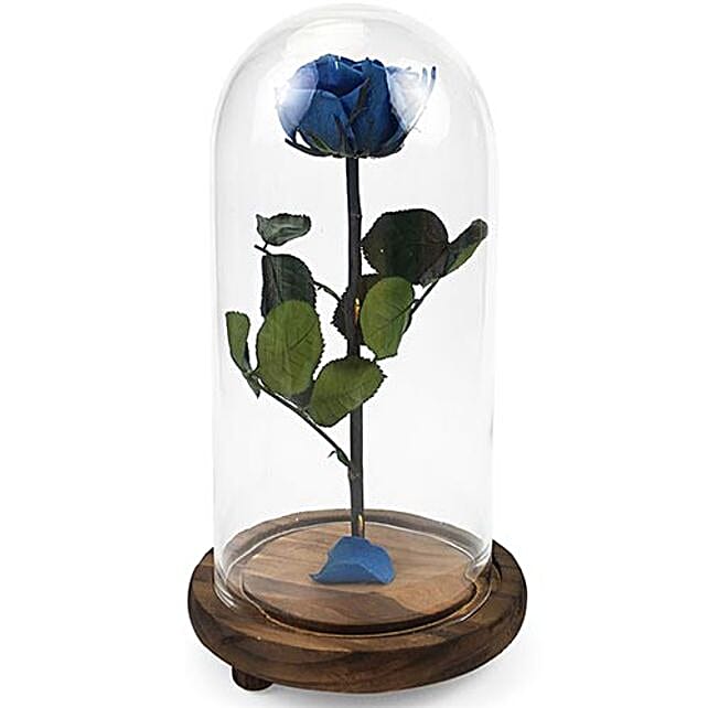 Fnp Blue Roses Forever Blue Rose In Dome Box thailand | Gift Forever Blue Rose In Dome ...